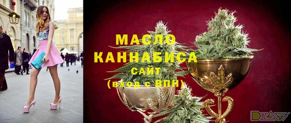 стаф Касимов