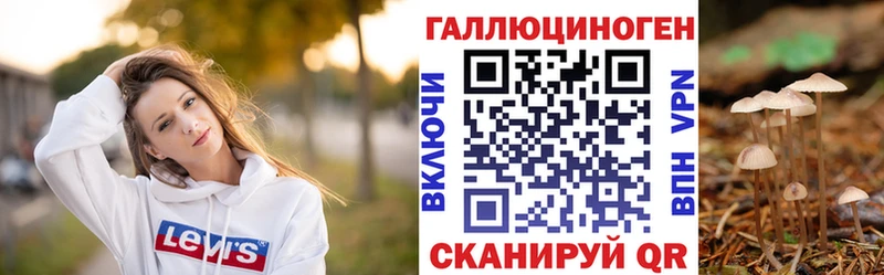 Псилоцибиновые грибы мицелий Чебоксары