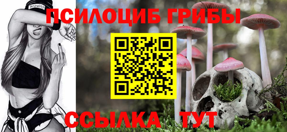Чебоксары  Галлюциногенные грибы ЛСД  Галлюциногенные грибы Cubensis  Вход с VPN 